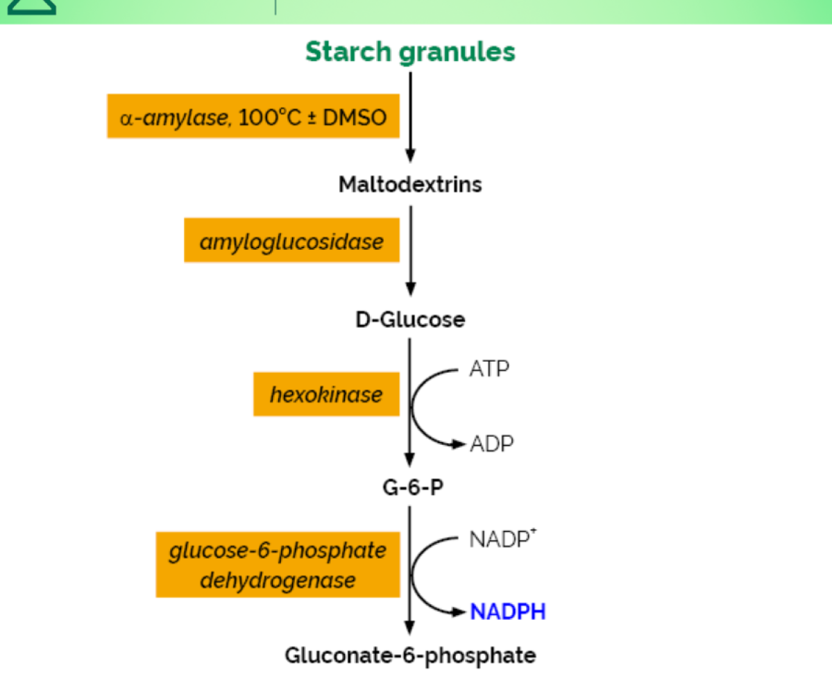 Bộ Xét Nghiệm Total Starch HK (Hexokinase) - NEOGEN - MEGAZYME