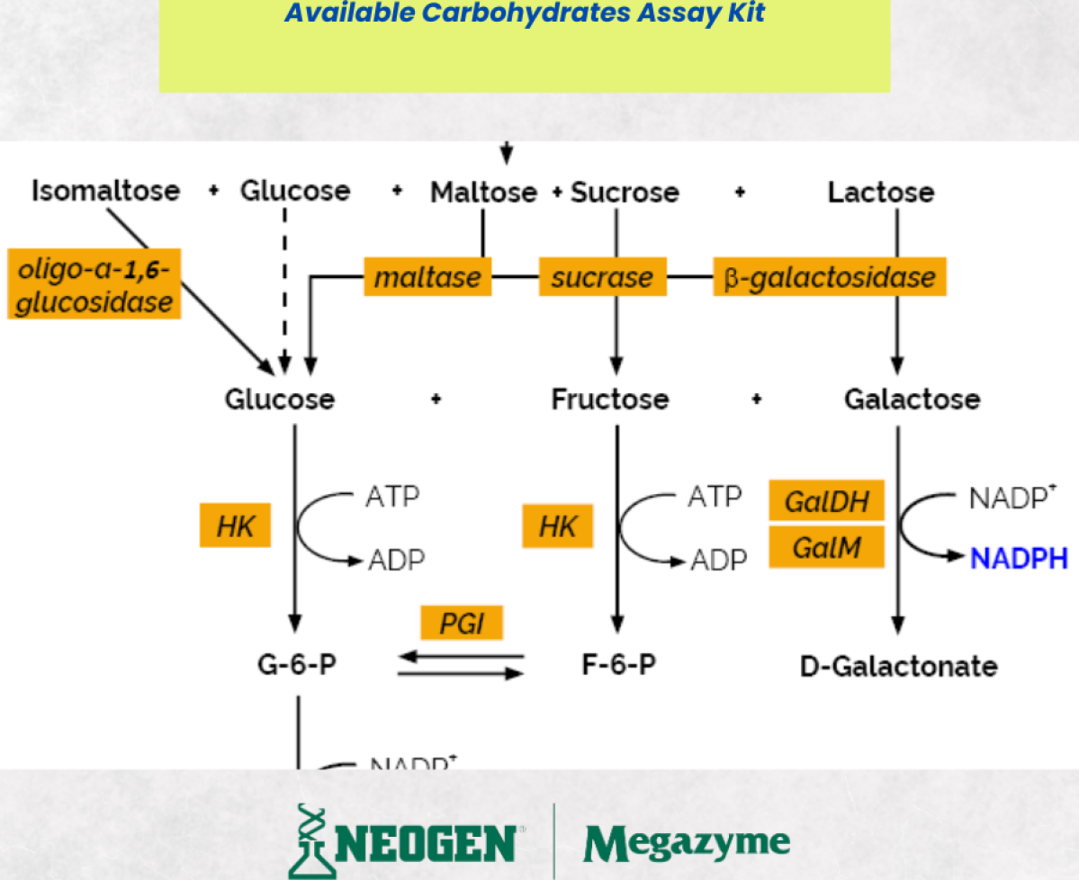 Cacbohydrate Assay Kit