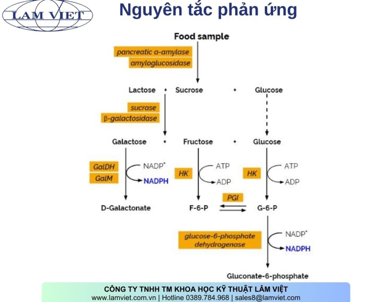 Kit thử Available Cacbonhydrate