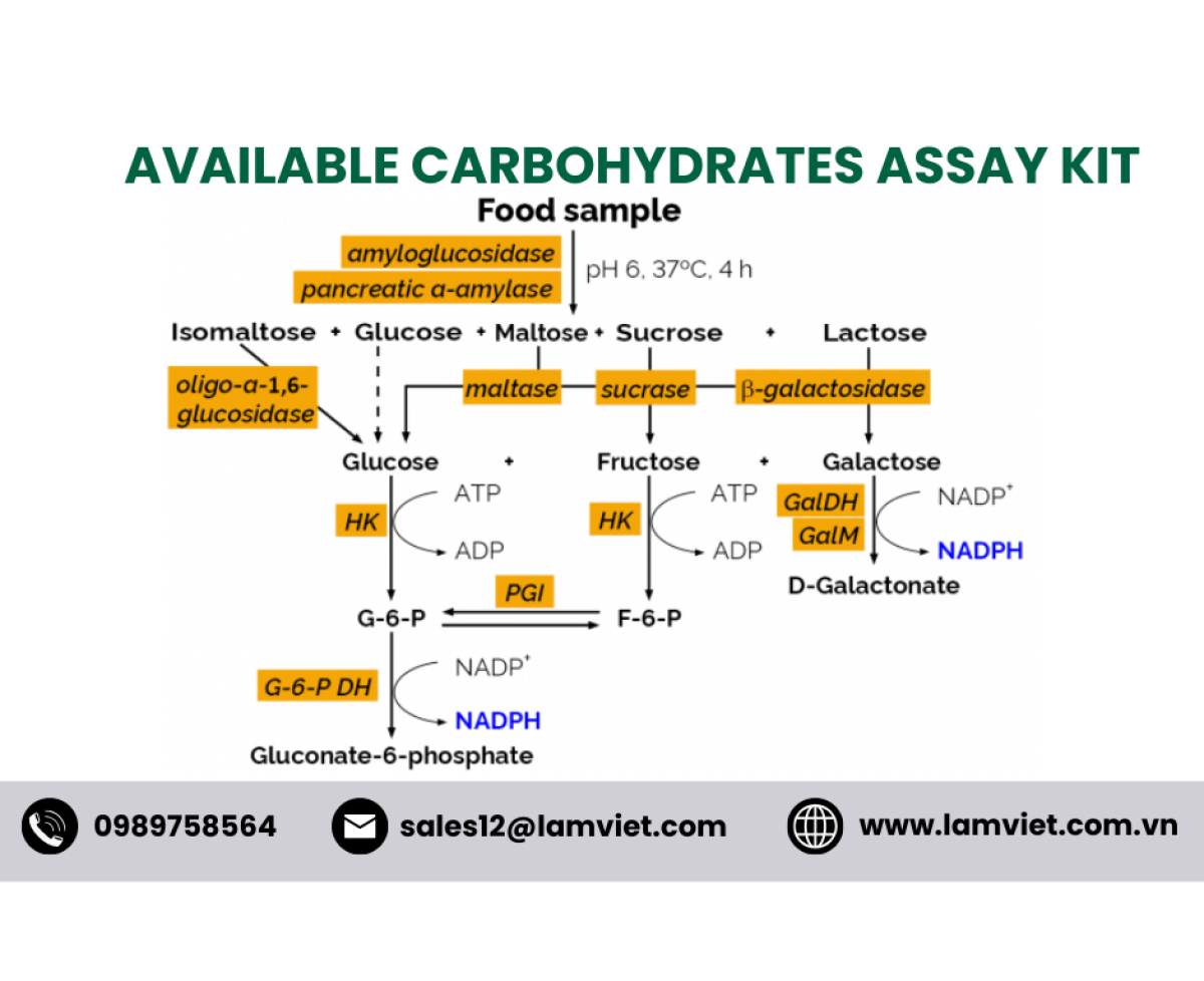 Available Carbohydrates Assay Kit