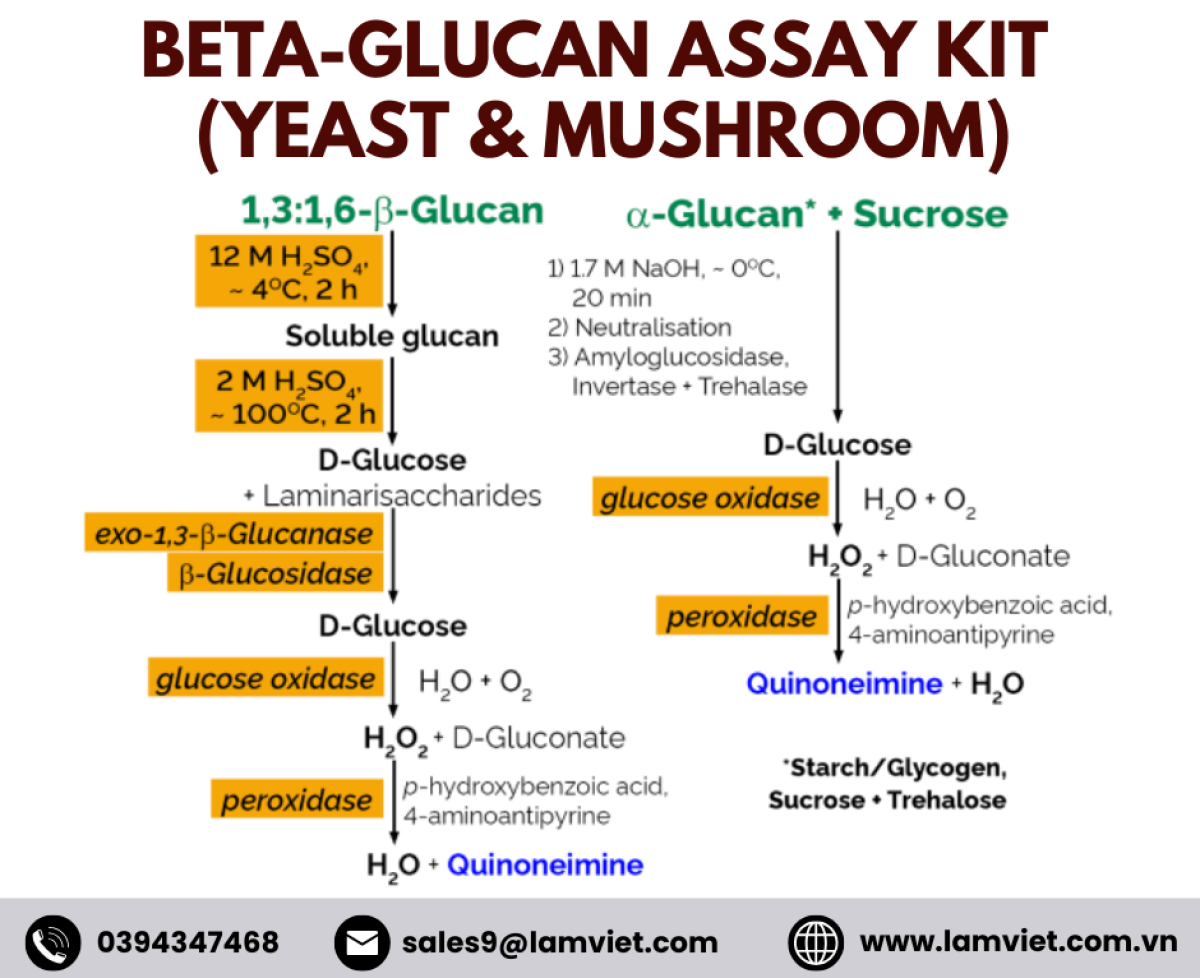 Bộ kit test Beta-Glucan (Yeast & Mushroom)