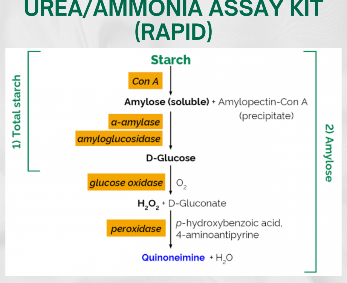 Urea Ammonia Assay Kit (Rapid)