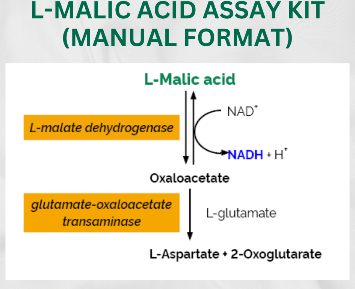 L-Malic Acid Assay Kit (Manual Format)