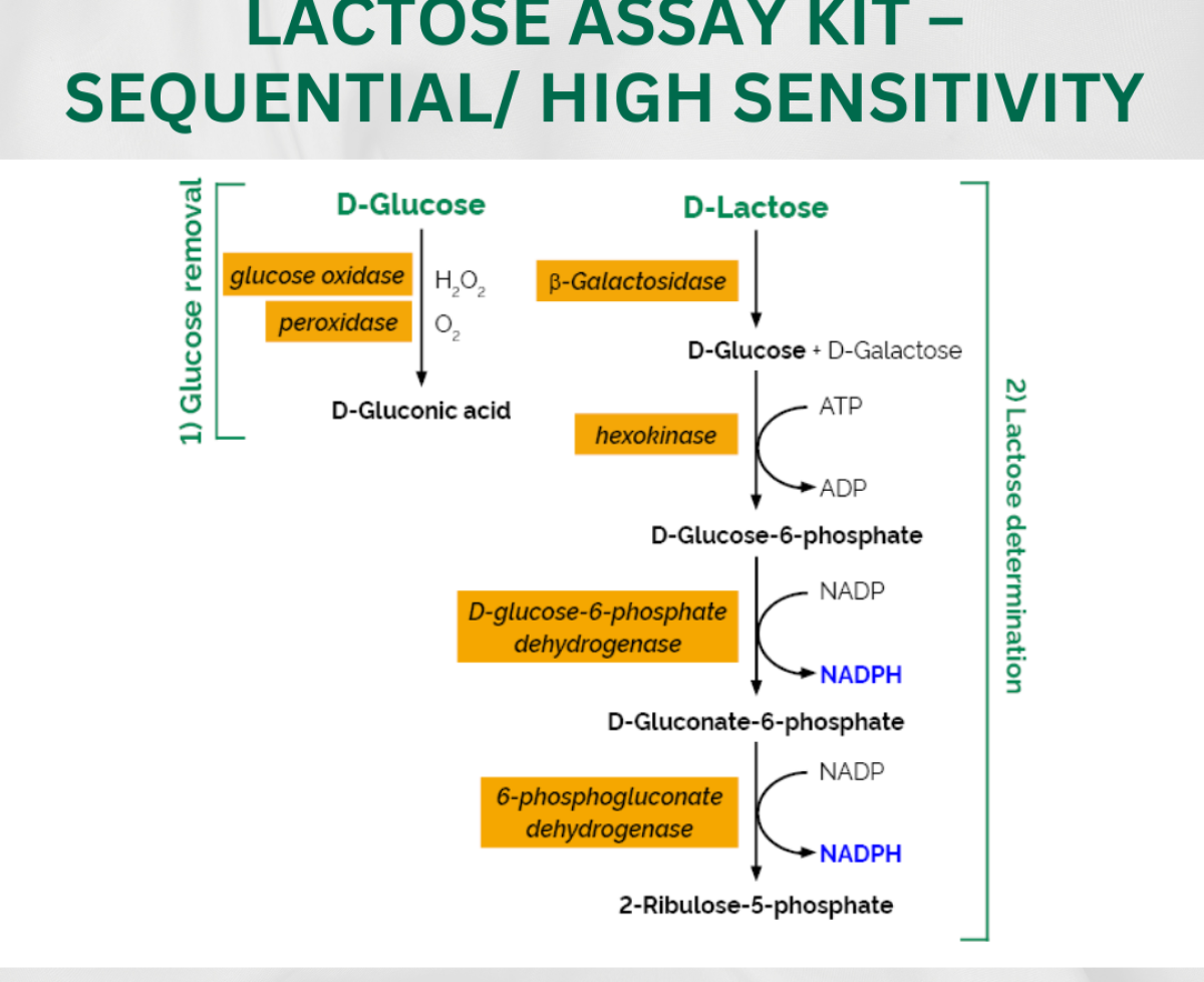 Lactose Assay Kit – Sequential/ High Sensitivity