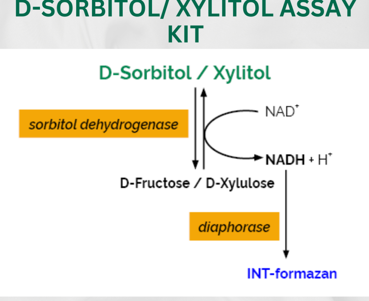 Bộ Xét nghiệm D-Sorbitol/ Xylitol K-SORB