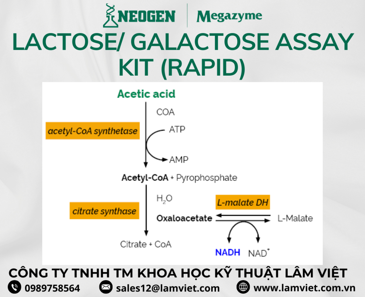 Lactose/ Galactose Assay Kit (Rapid) K-LACGAR