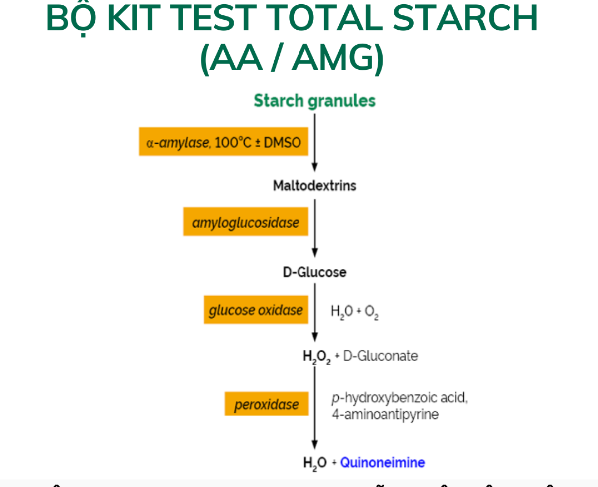 Bộ kit test Total Starch (AA / AMG)