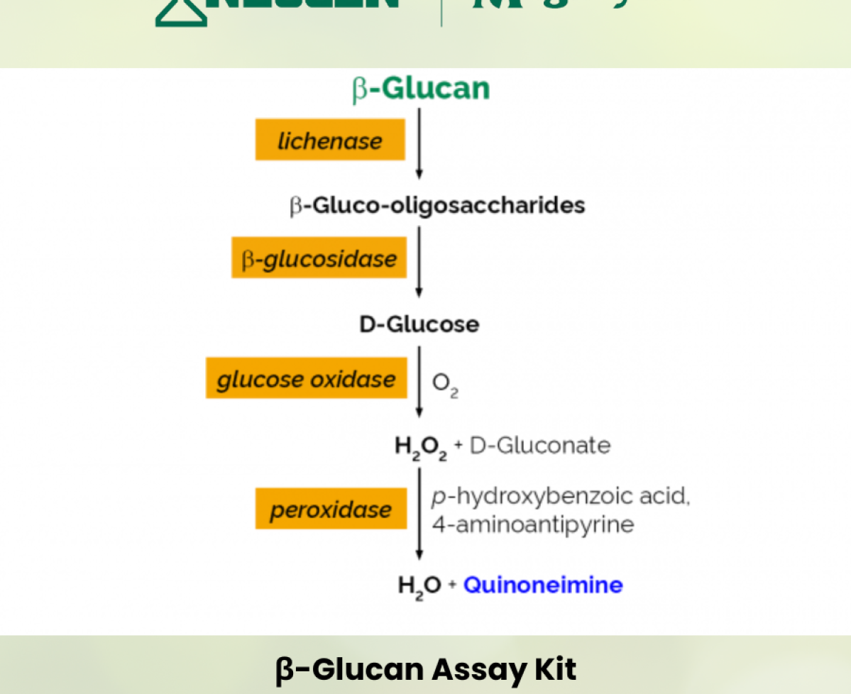 Beta-Glucan Assay Kit của Megazyme