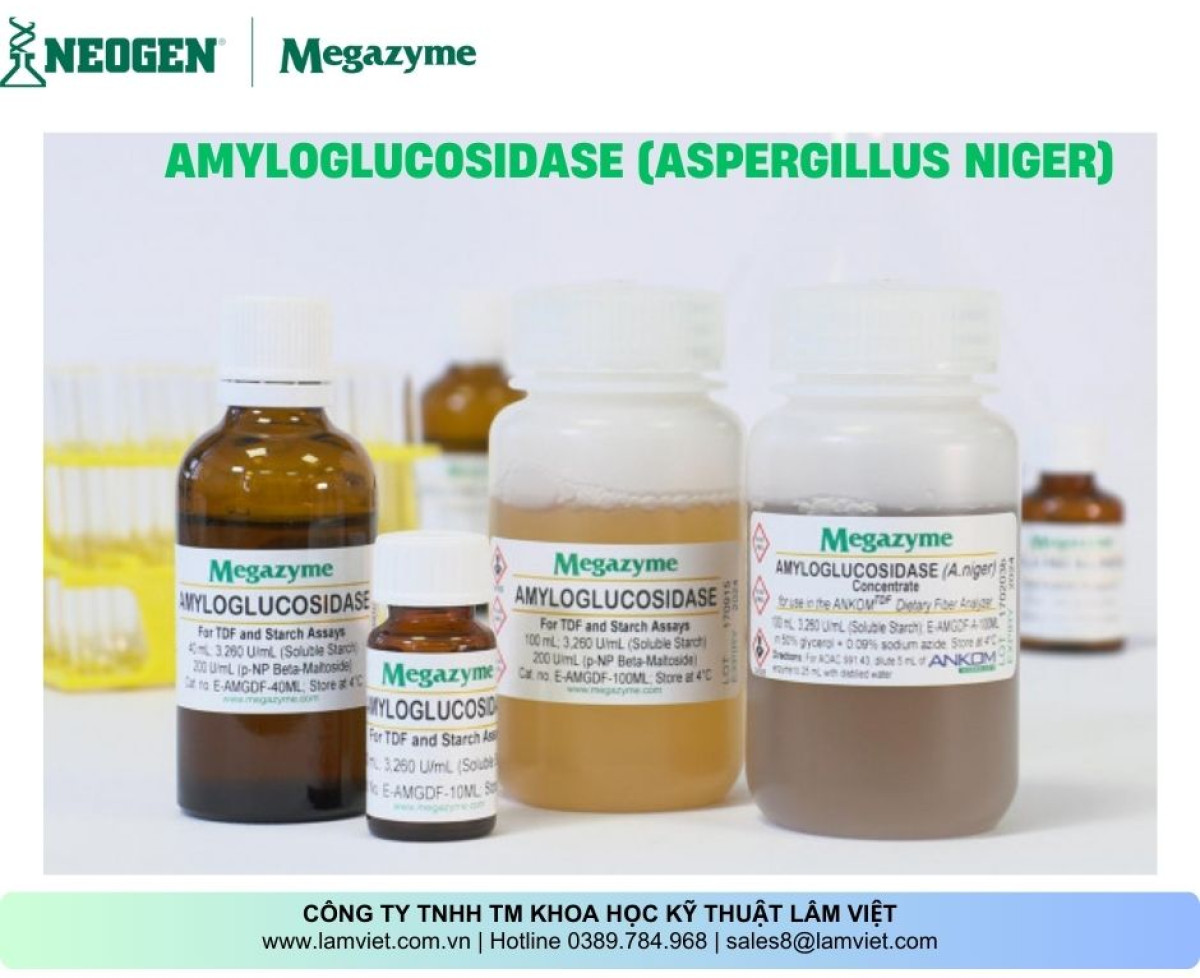 Amyloglucosidase (Aspergillus niger)