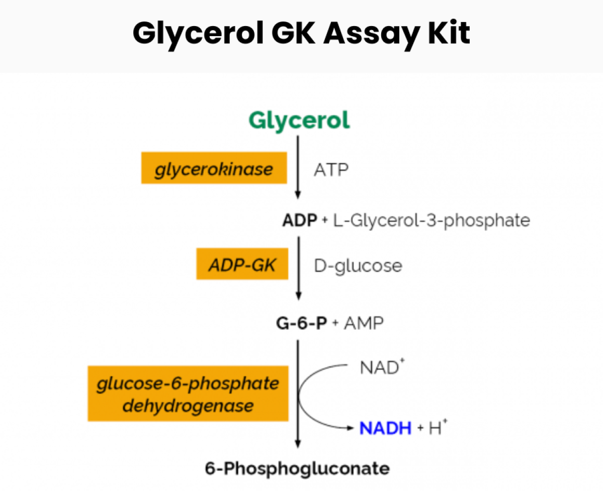 Glycerol GK Assay Kit của Megazyme