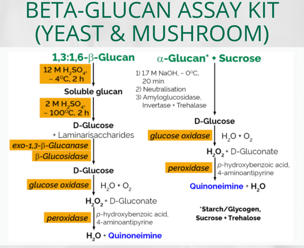 Beta-Glucan Assay Kit (Yeast and Mushroom)