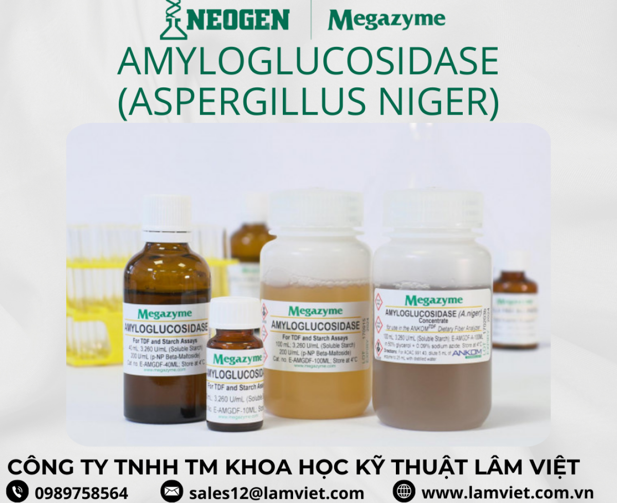 Amyloglucosidase (Aspergillus niger)