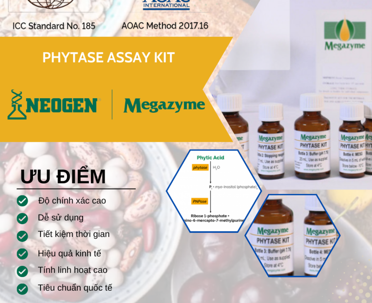 Phytase Assay Kit