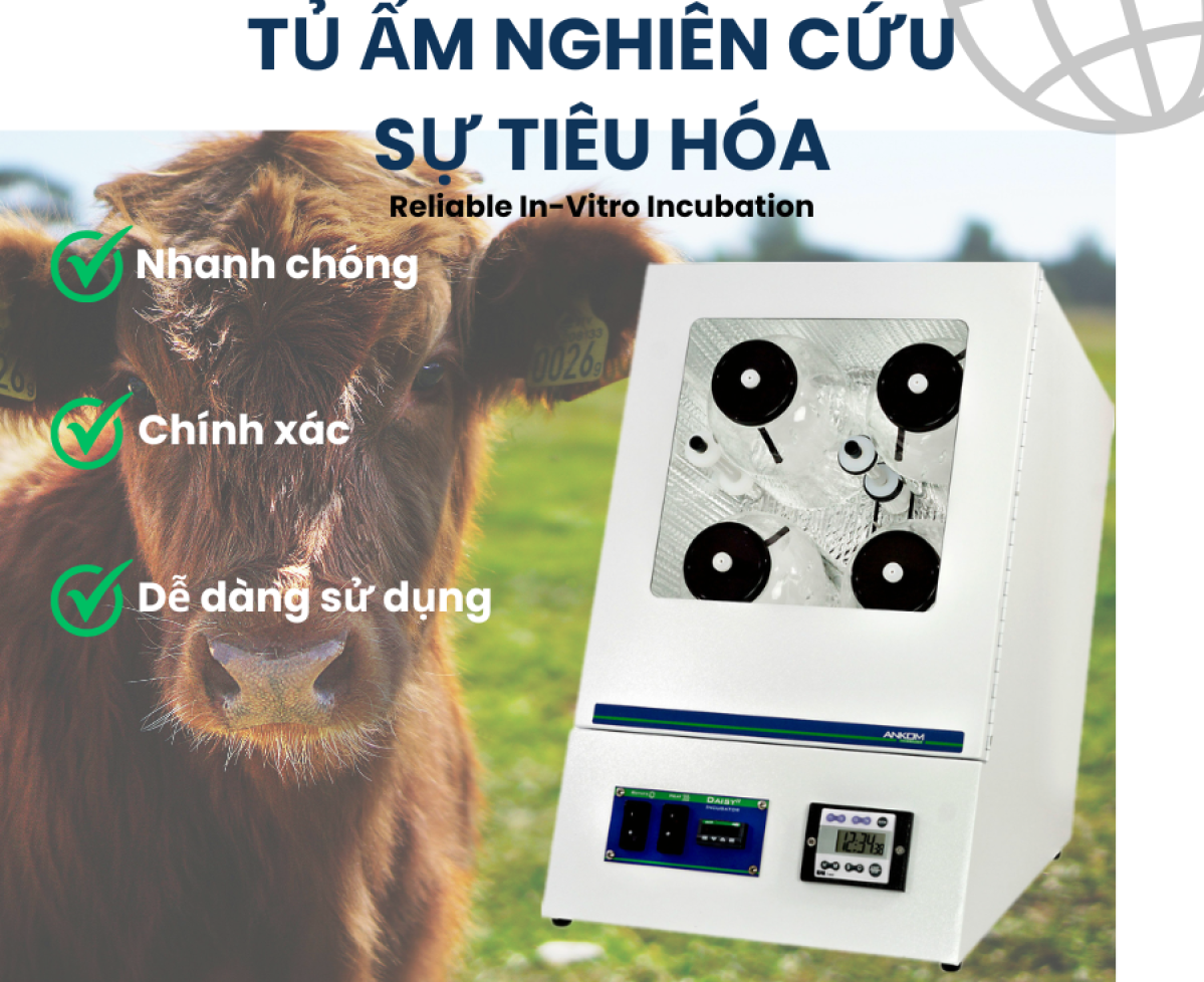 Tủ ấm nghiên cứu sự tiêu hóa