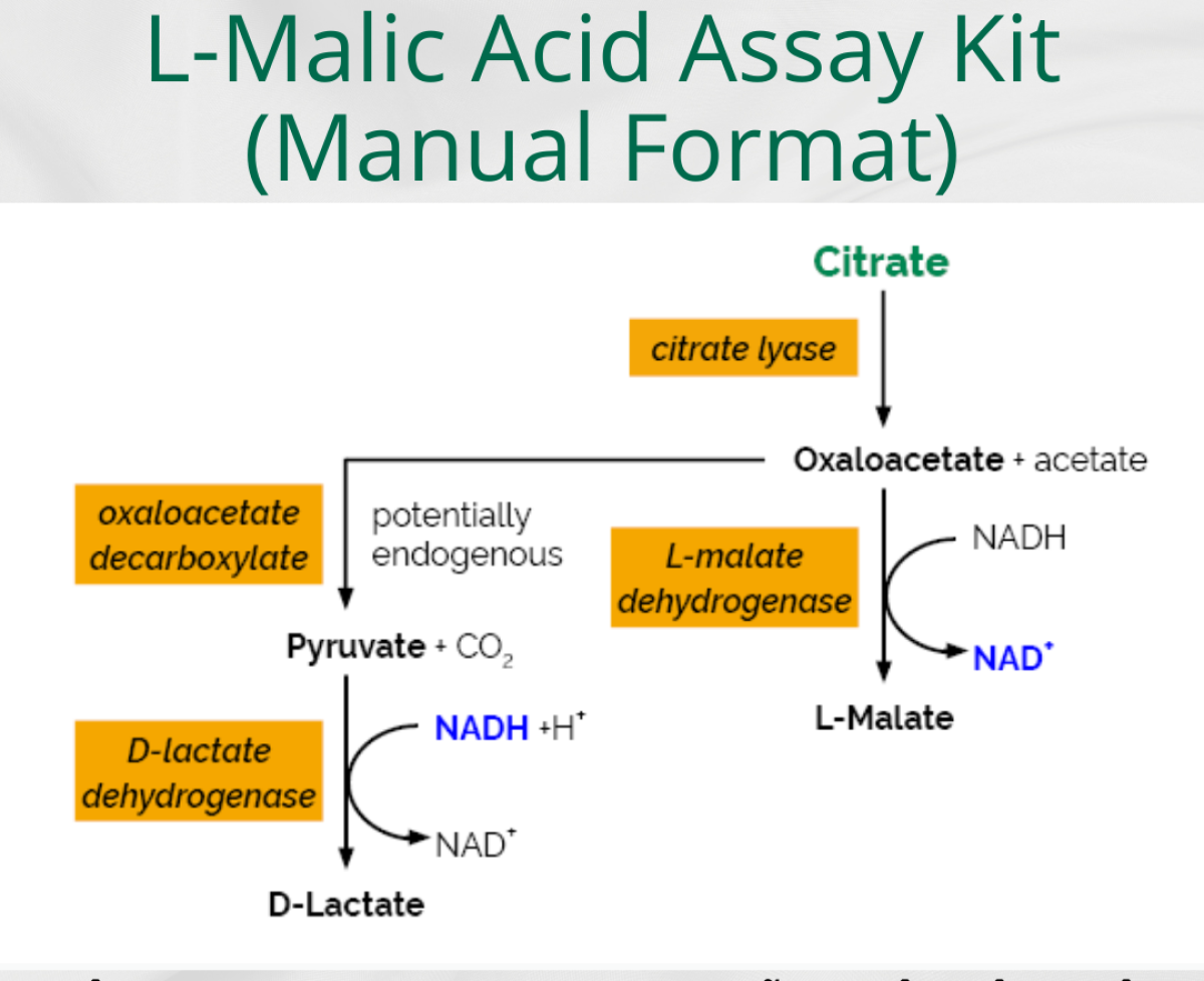 Bộ Xét nghiệm Acid L-Malic (Regular)