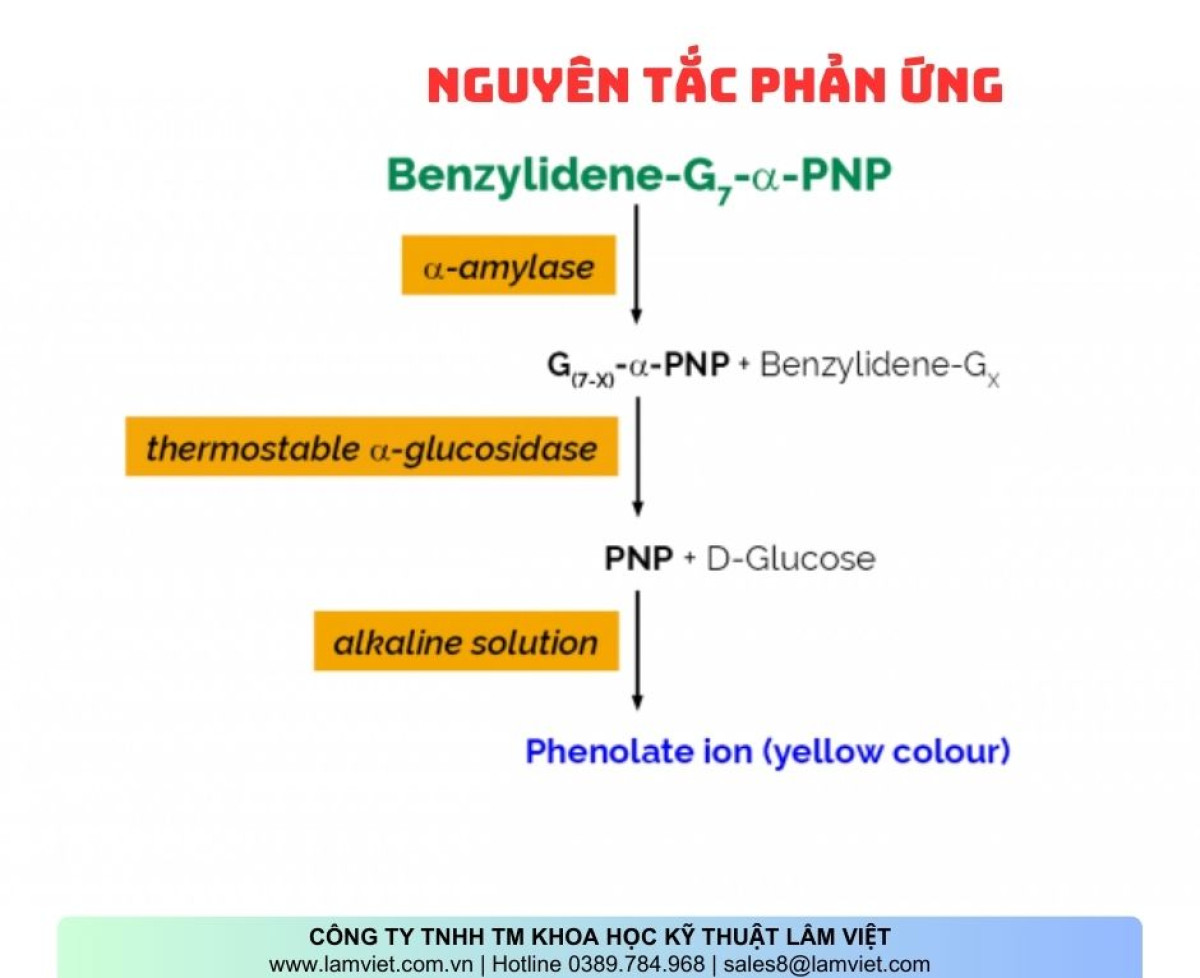 Bộ Xét Nghiệm α-Amylase Ceralpha