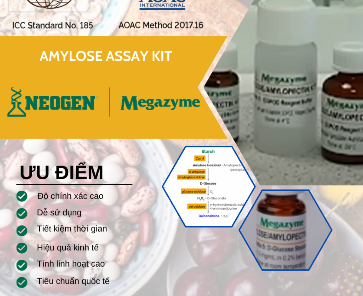 Amylose Assay Kit