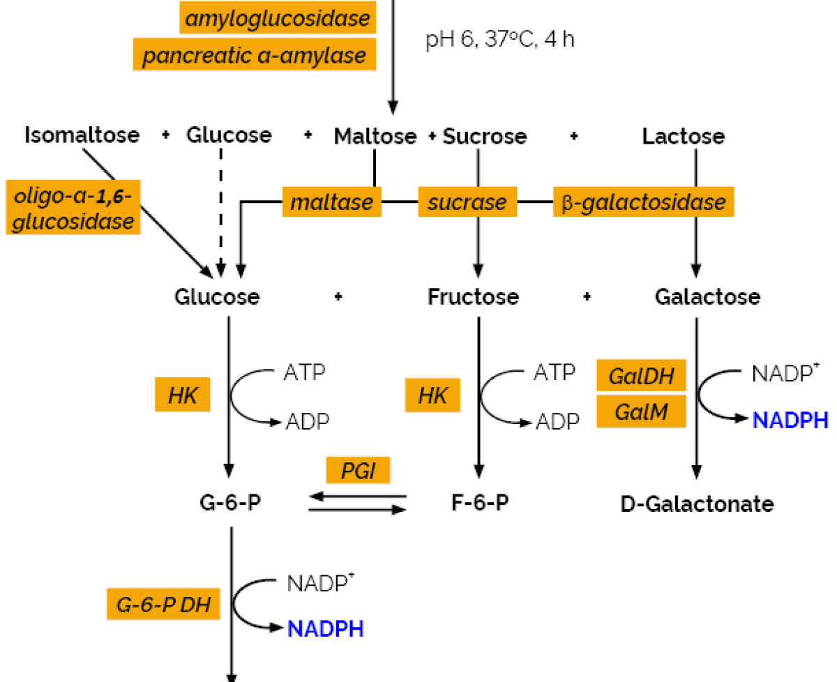 Available Carbohydrates Assay Kit