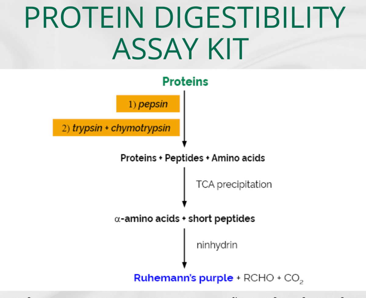 Protein Digestibility Assay Kit