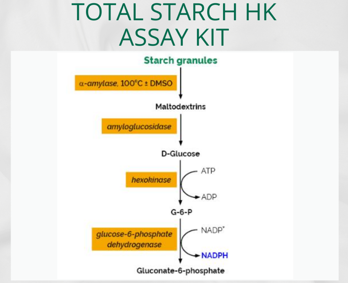 Total Starch HK Assay Kit