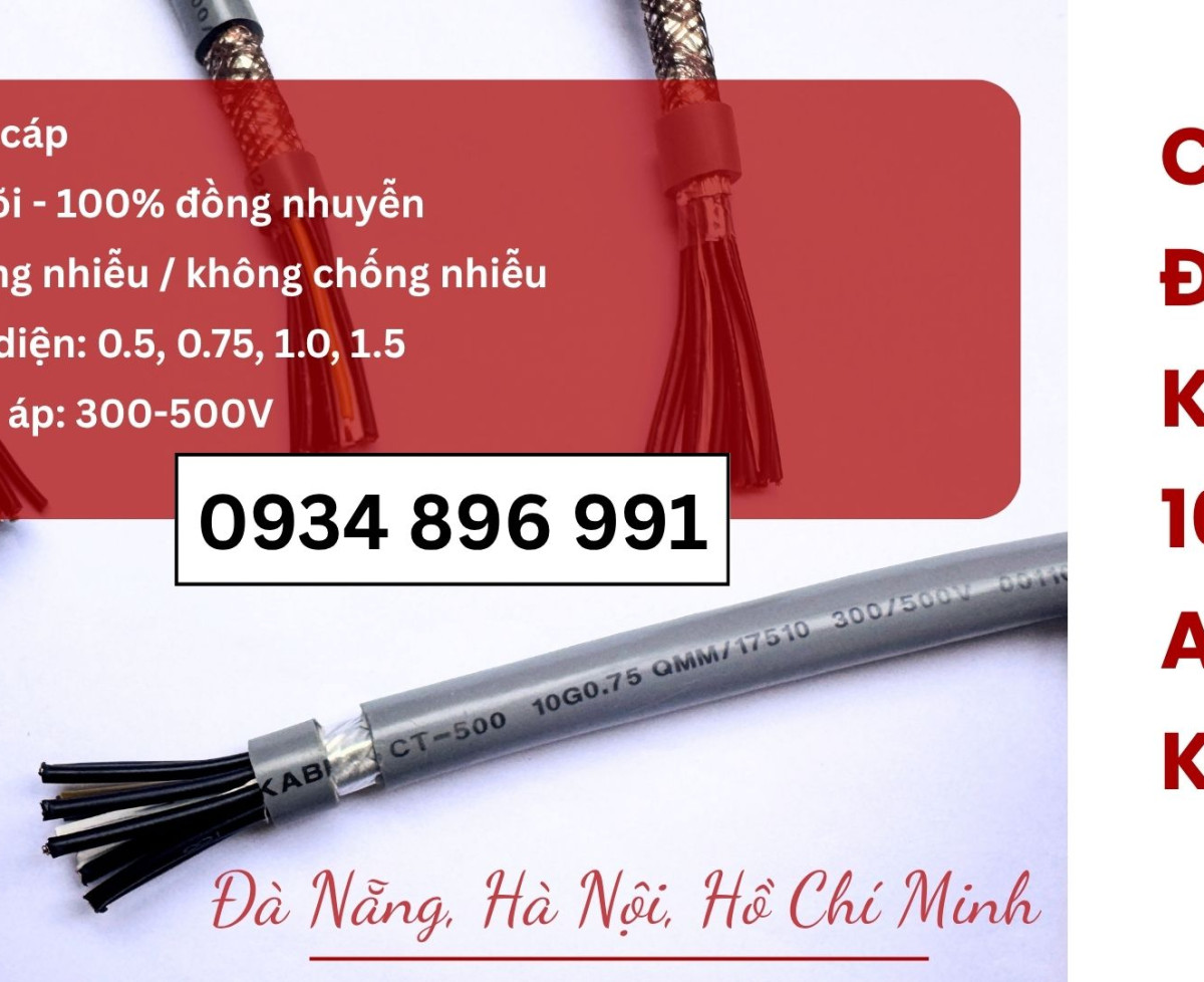 Cáp Điều Khiển 10 Lõi Tiết Diện 1.0 mm² Có Sẵn Tại Hà Nội, Hưng Yên