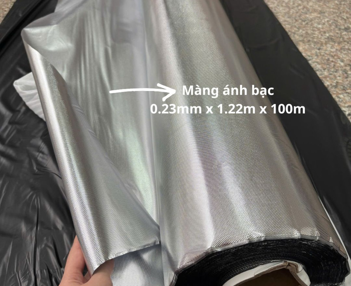 Cực phẩm màng pvc ánh bạc - sẵn kho số lượng lớn
