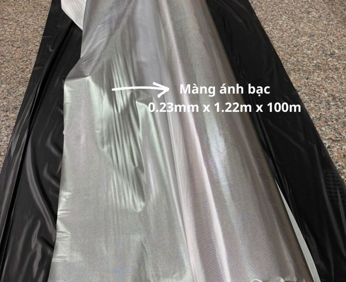 Cực phẩm màng pvc ánh bạc - sẵn kho số lượng lớn